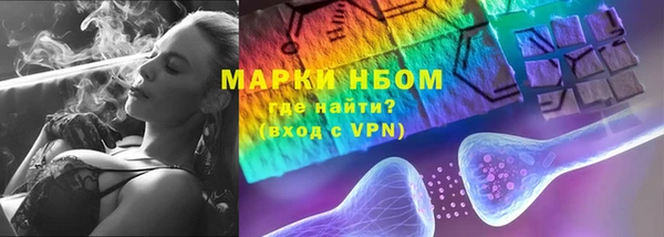 шишки Алексин