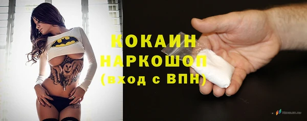 шишки Алексин
