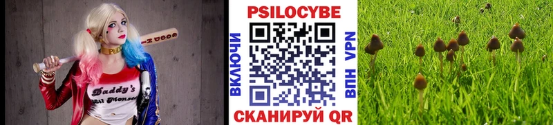 закладка  Урай  Псилоцибиновые грибы ЛСД 